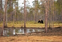 Bjorn_FIN0017