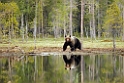 Bjorn_FIN0038