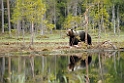 Bjorn_FIN0046