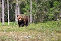 Bjorn_FIN5496