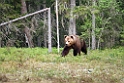 Bjorn_FIN5497