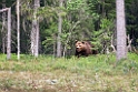 Bjorn_FIN5505