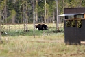 Bjorn_FIN5600