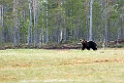 Bjorn_FIN5620
