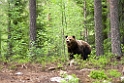 Bjorn_FIN5664