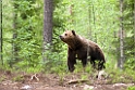 Bjorn_FIN5670