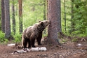 Bjorn_FIN5681