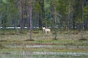 Ulv_FIN5578