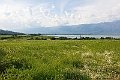 Kerkini søen.20220505_170551