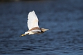 Tophejre.202207maj_0278