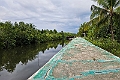 Mangrove Sorong.20231013_171707