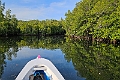 Mangrove Tangkoko N.P.20230930_155847