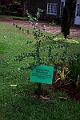 Karen Blixen.20240324-_DSC0130