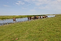 Bayan Lake.20220616_092939