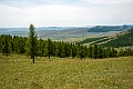 Capecalia forest.202214jun_1023