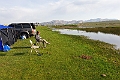 Elsen Tasarkhai.20220617_073847