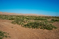 Gobi ørkenen.202223jun_1065