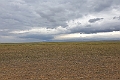 Gobi Steppe.20220626_071509