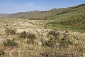 Hustai NP.20220615_165312