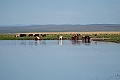 Lake Bayan.202216jun_0463