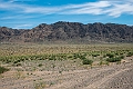 Landskab.202220jun_1050