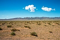 Landskab.202222jun_1059