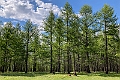 Mongoliet 2022 Camt Pass 02