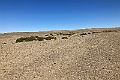 Mongoliet 2022 Gobi Desert 03