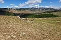 Terejl NP.20220612_153731