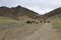 Yolyn Am.20220625_091921