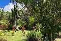 Fiji 2022 1117 Kadavu Papageno Resort 05