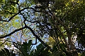 Fiji 2022 1119 Suva Rainforest Lodge