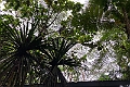 Fiji 2022 1120 Suva Rainforest Lodge 02