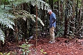 New Caledonia 2022 1111 Kagu 08