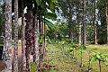 New Caledonia 2022 1111 Riviére Bleue 01