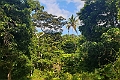 Papageno Resort Kadavu.202217nov_1128