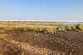 20240108 Parc du Djoudj 1