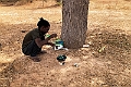 20240110 Darou Salam Tip - Quail Plover place