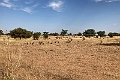 20240110 En route Louga - Touba 3