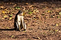 Abe.20240117-_DSC6085