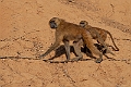 Aber.20240116-_DSC5971