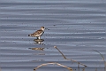 Damklire.20240108-_DSC4926