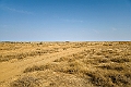 Landskab.20240108_100425