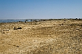 Landskab.20240108_112151