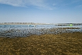 Landskab.20240111_163831-1
