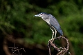Nathejre.20240116-_DSC5660