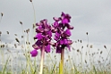 DSCN2836