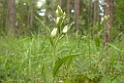 DSCN3622