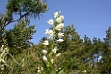 DSCN3276