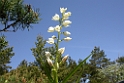 DSCN3277